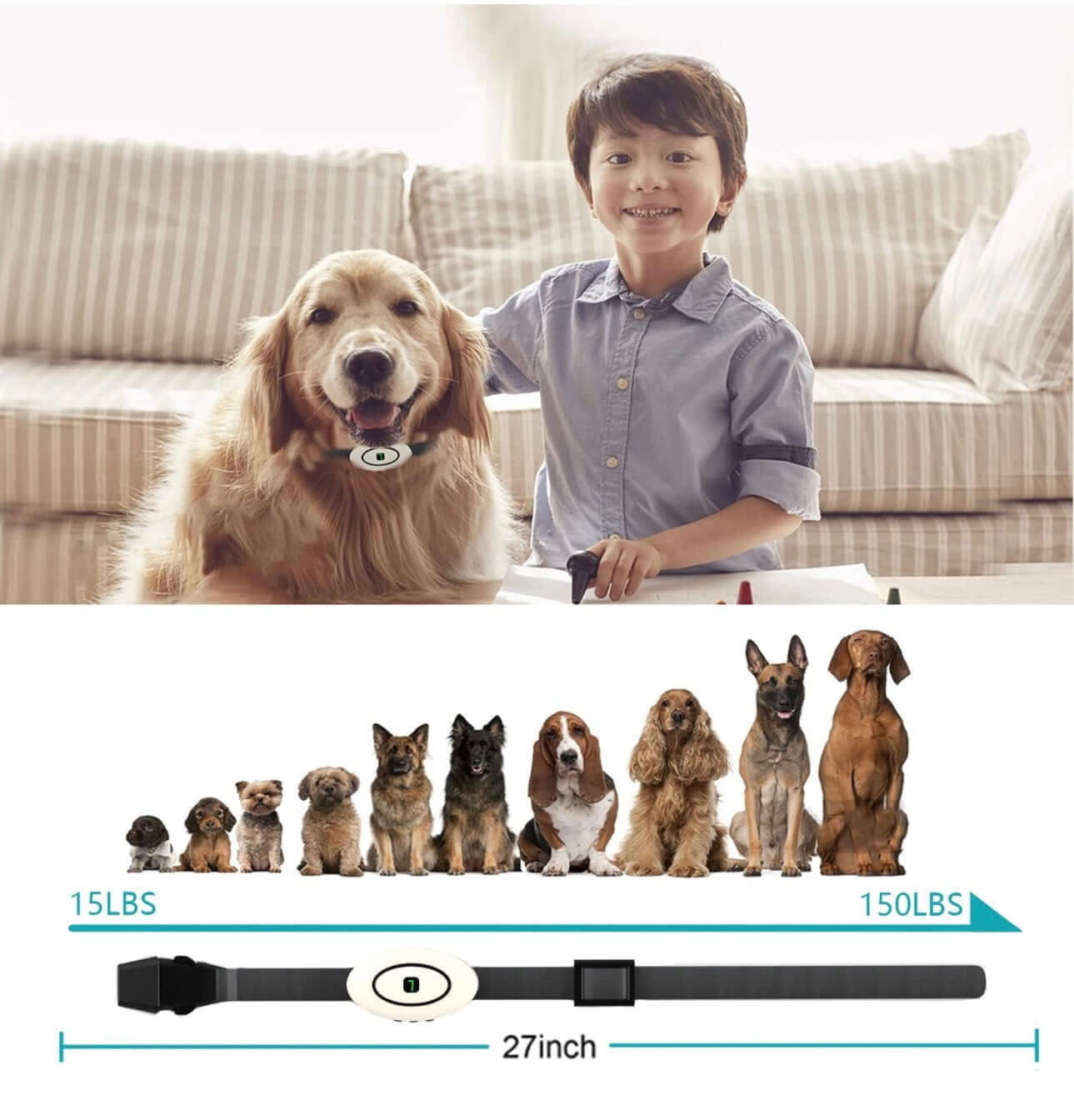 Collar antiladridos para perros S/M/L