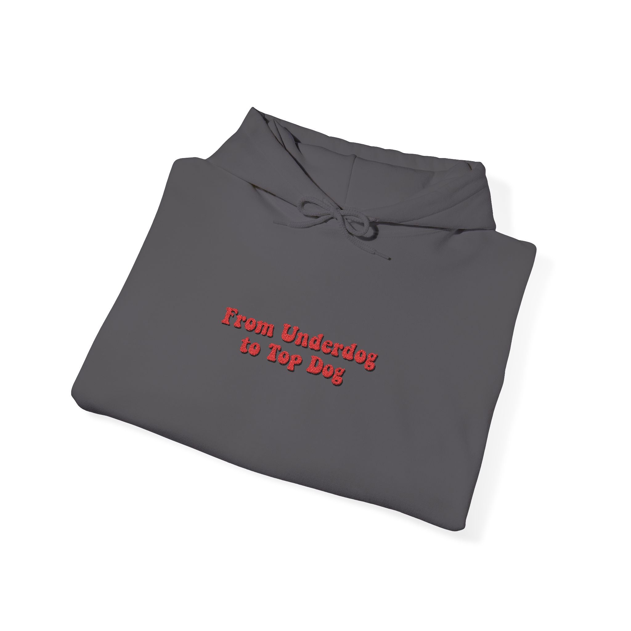 'From Underdogs to Top Dogs' Embroidered Hooded Sweatshirt