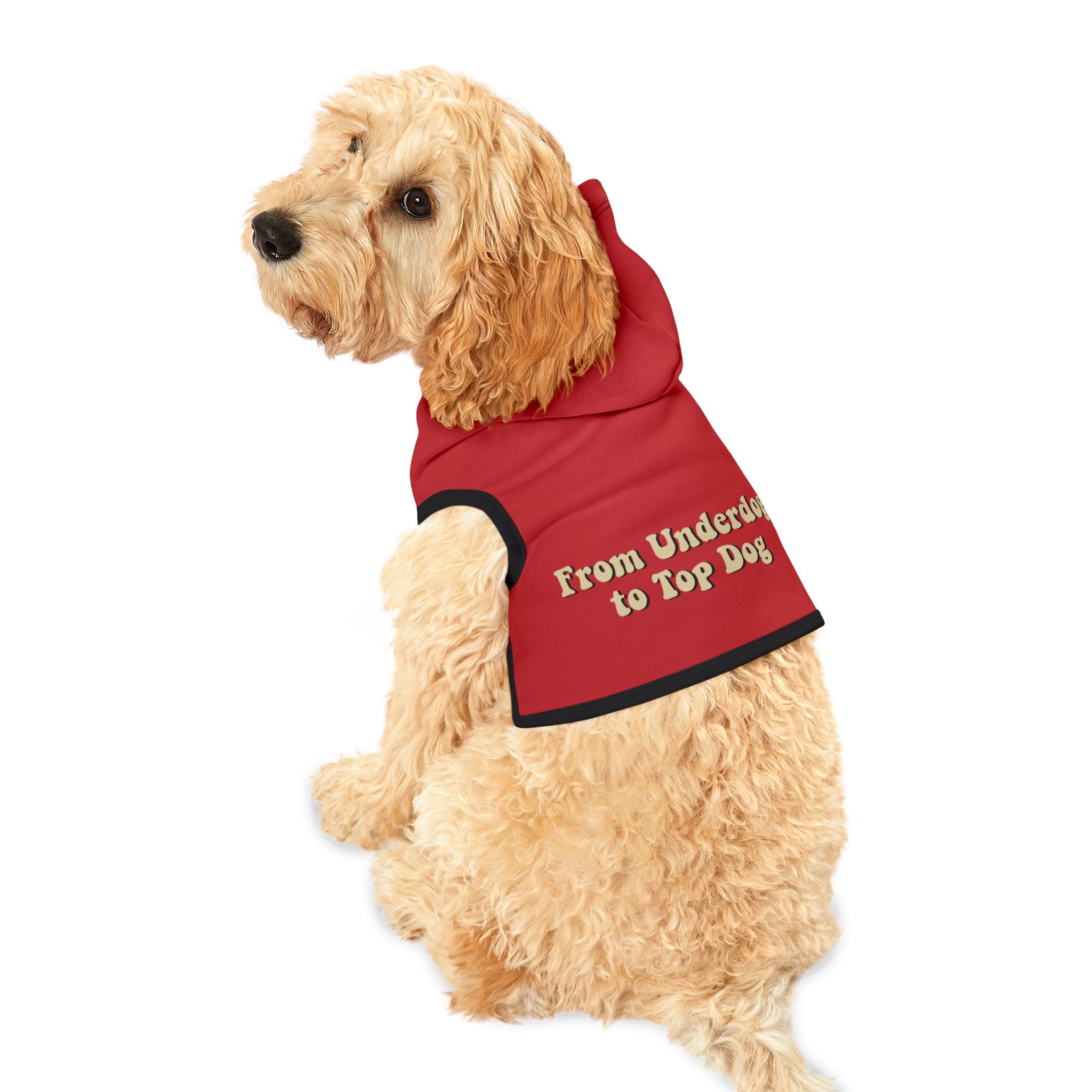 "From Underdog to Top Dog" Dog Hoodie