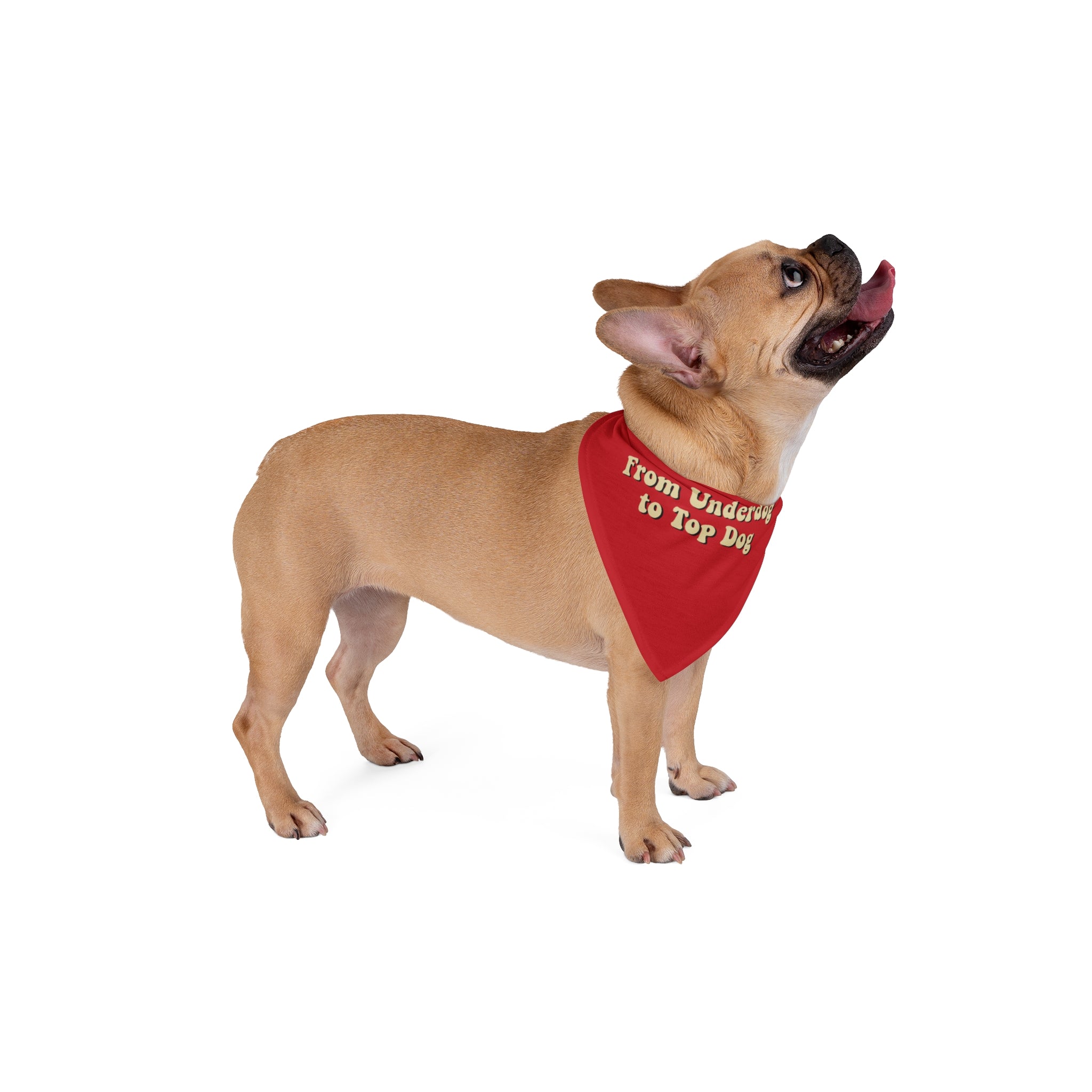 'From Underdog to Top Dog' Pet Bandana