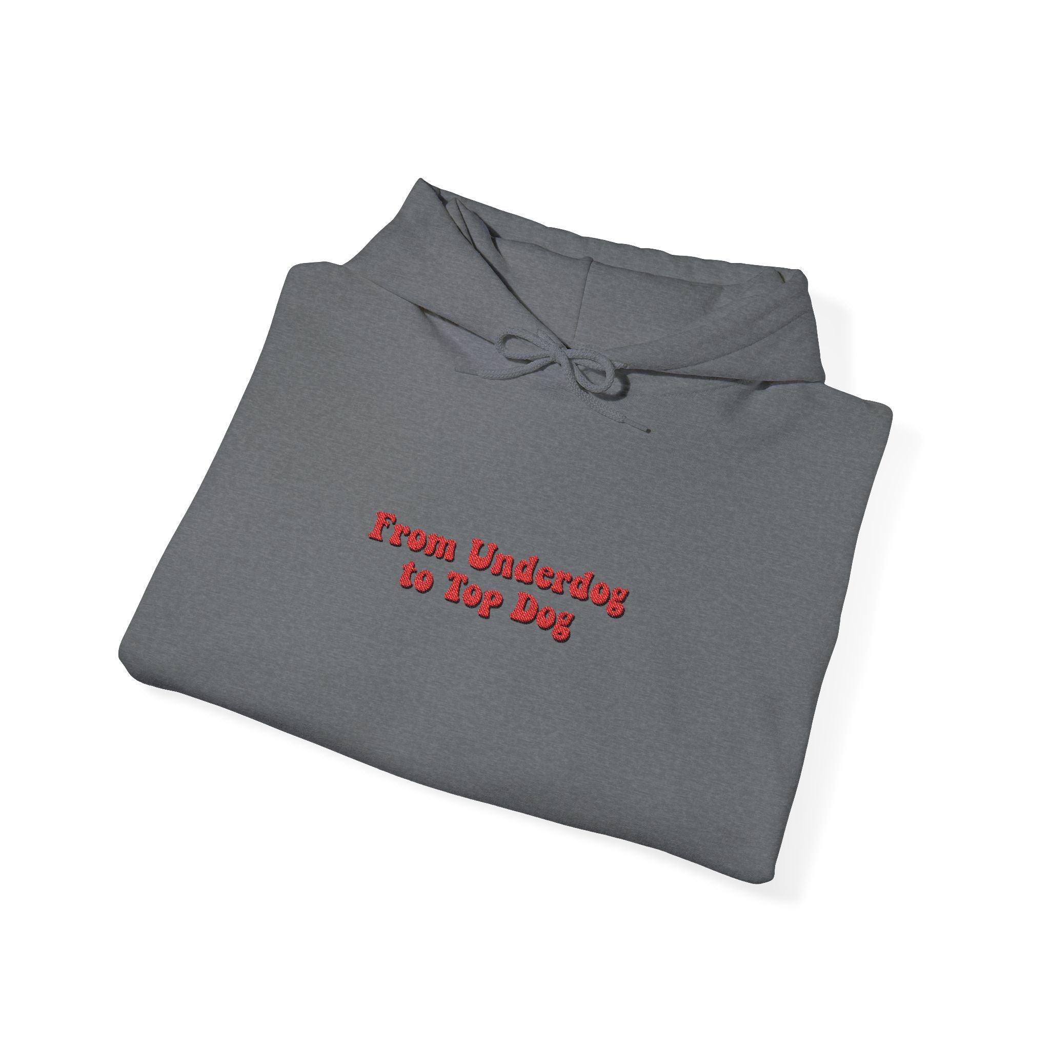 'From Underdogs to Top Dogs' Embroidered Hooded Sweatshirt