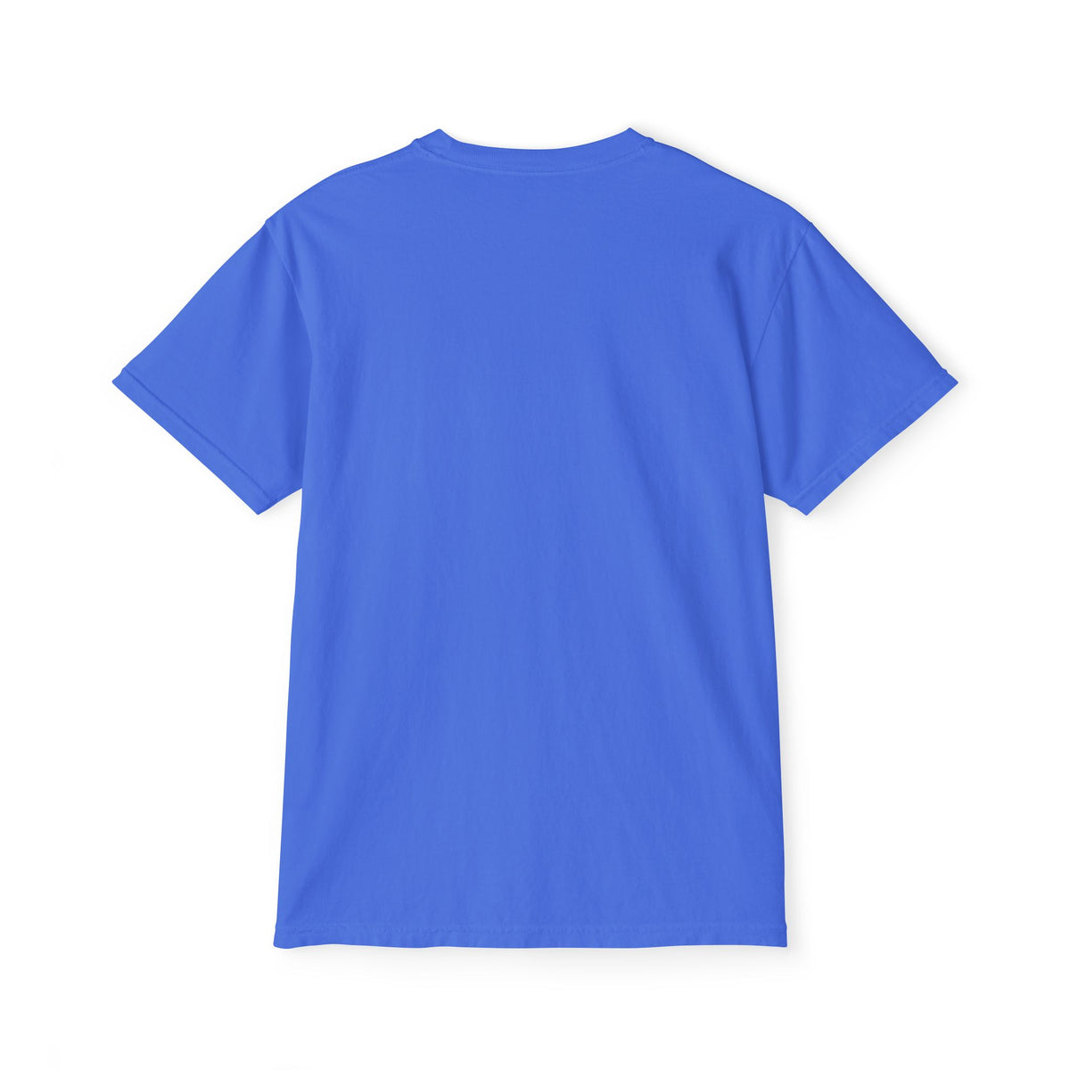 HOC 'PLUG' - Unisex Garment-Dyed Pocket T-Shirt