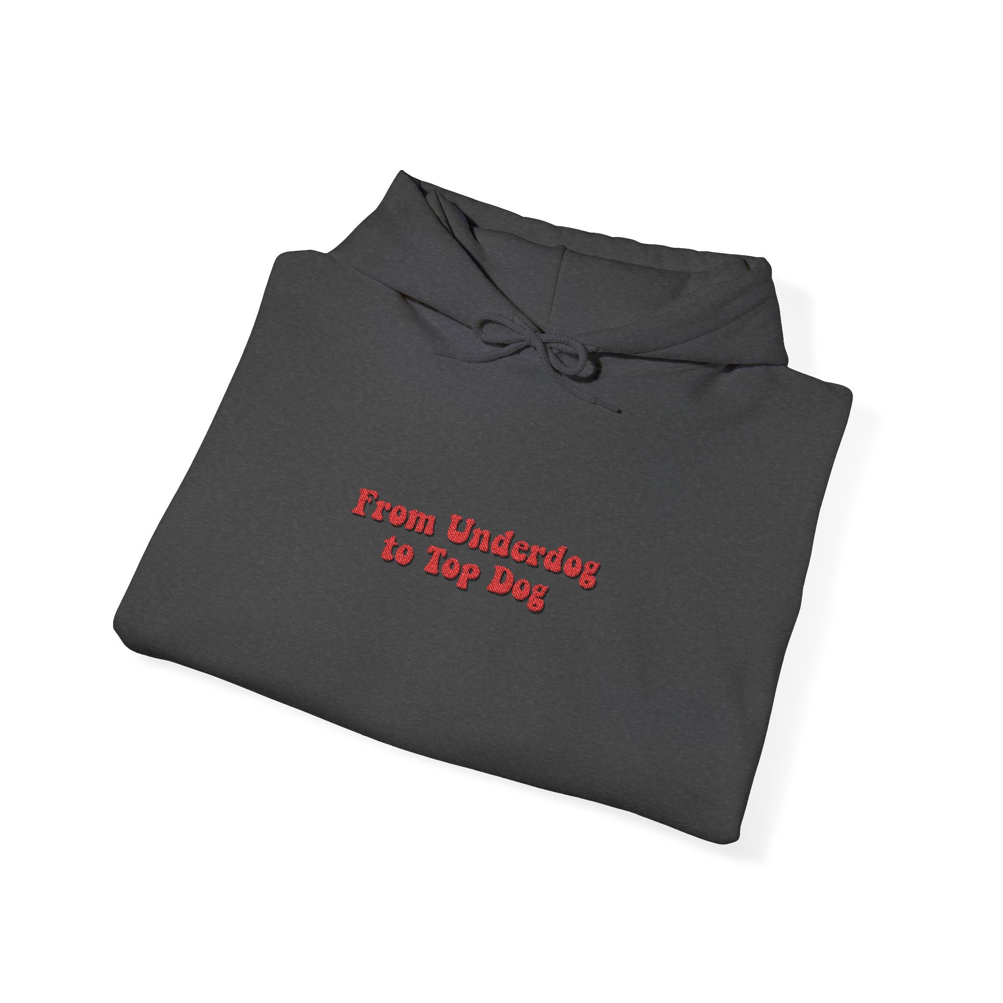 'From Underdogs to Top Dogs' Embroidered Hooded Sweatshirt