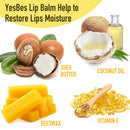 Lip Balm, 8 Pack Natural Bulk with Vitamin E & Coconut Oil, Moisturizing Dry Cracked Lips Protection, 8 Flavors - Stocking Stuffers