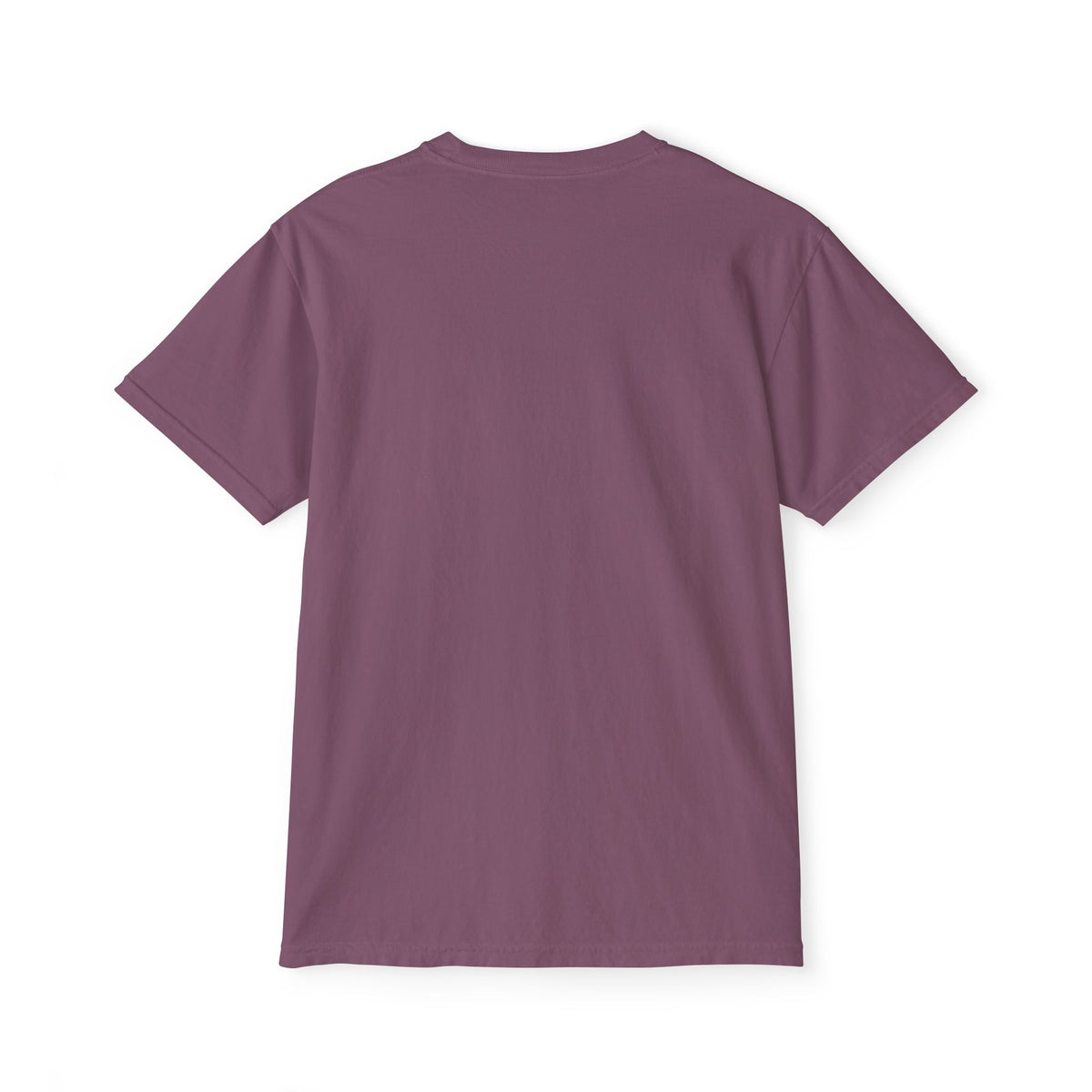 HOC 'PLUG' - Unisex Garment-Dyed Pocket T-Shirt