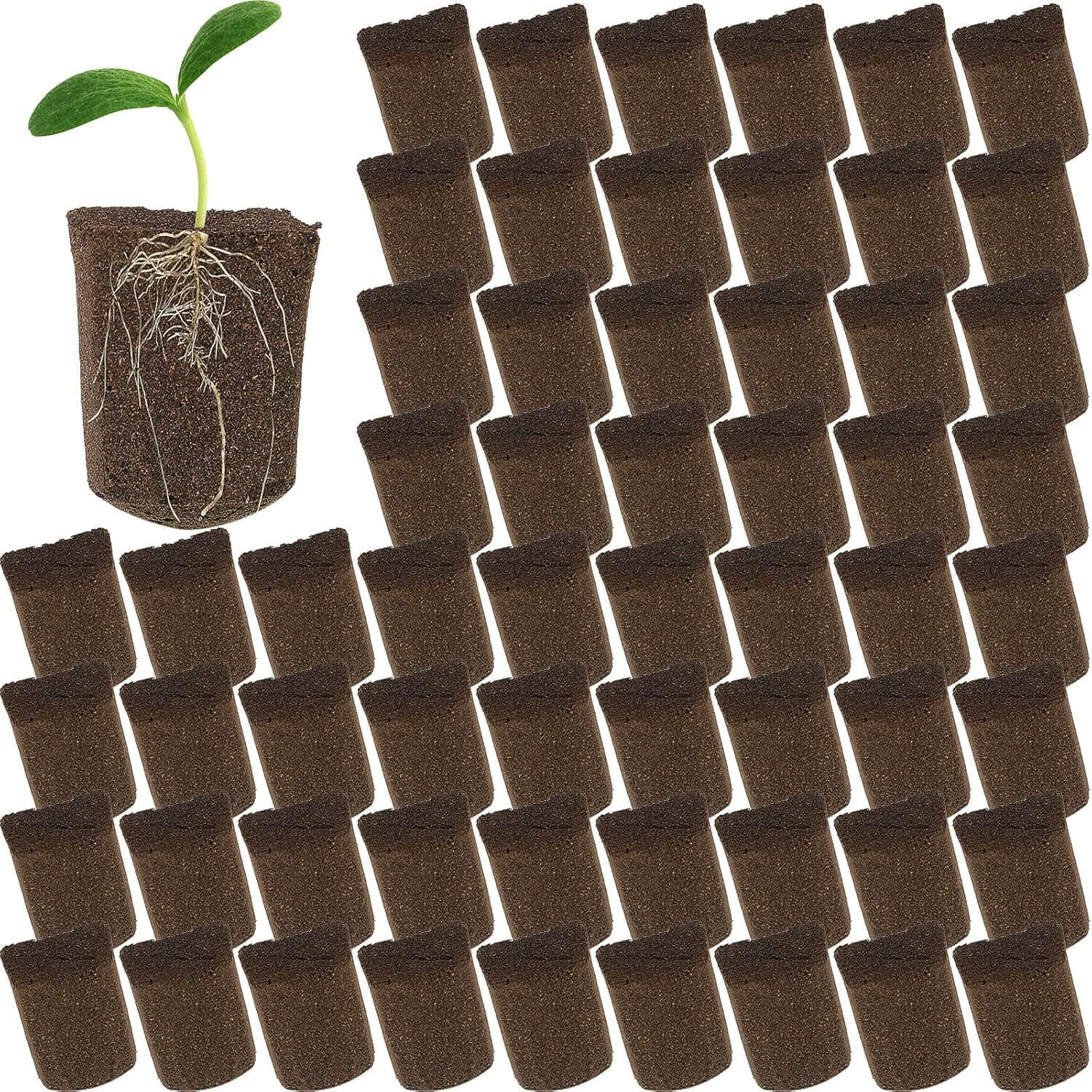 91gBZMlv4YL._AC_SL1500.jpg