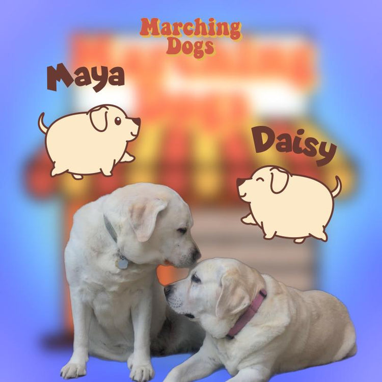 Marching Dogs